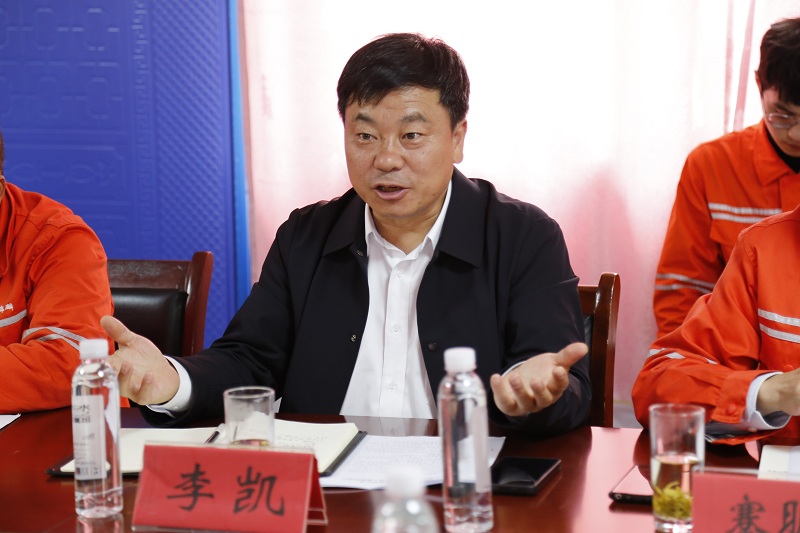 西能集團(tuán)黨委委員、副總經(jīng)理李凱.JPG